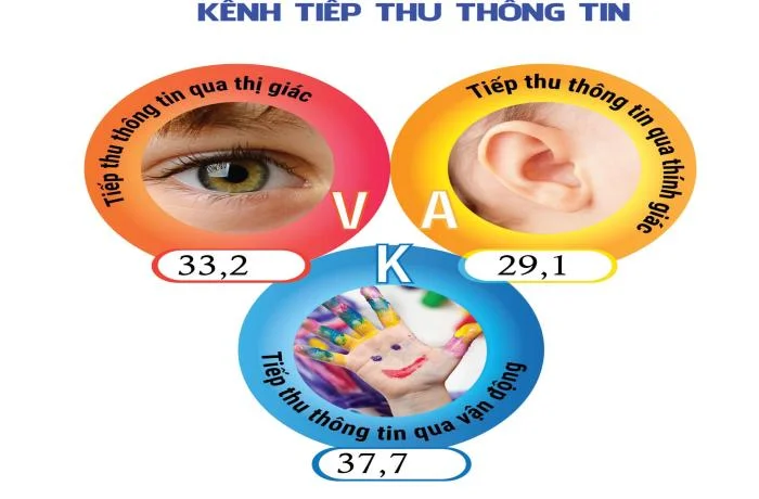 Khám Phá Các Chỉ Số VAK (Visual - Auditory - Kinesthetic) Trong Phân Tích Sinh Trắc Vân Tay