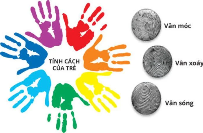 Kết Quả Sinh Trắc Vân Tay Có Chính Xác Không?