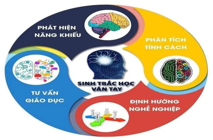 Sinh Trắc Vân Tay Là Gì? Lợi Ích và Ứng Dụng Trong Cuộc Sống