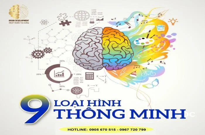 Khám Phá 9 Loại Hình Thông Minh Qua Sinh Trắc Vân Tay – Bạn Sở Hữu Loại Hình Thông Minh Nào?
