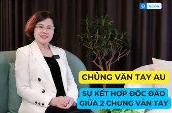 VIDEO 1: CHỦNG VÂN TAY AU - SỰ KẾT HỢP ĐỘC ĐÁO GIỮA 2 CHỦNG VÂN TAY