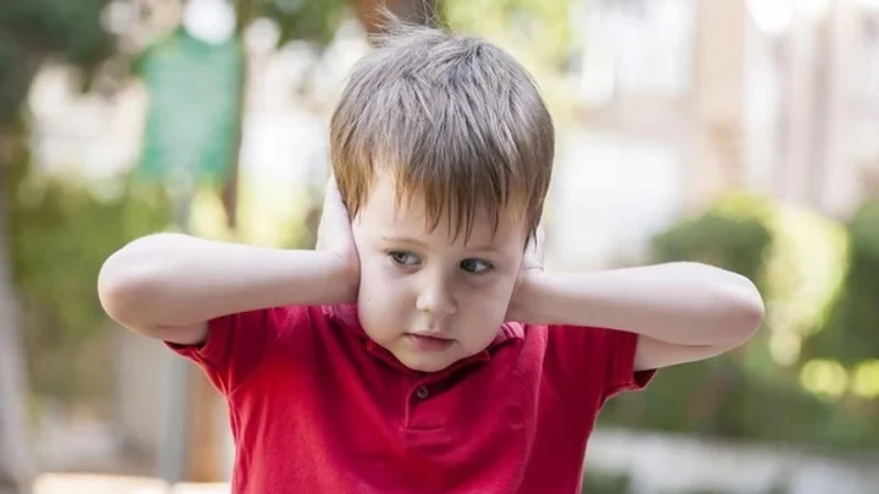 KẾT NỐI YÊU THƯƠNG TỪ SỰ THẤU HIỂU – Hành trình tìm lại niềm tin và sự đồng cảm với con cái qua sinh trắc vân tay