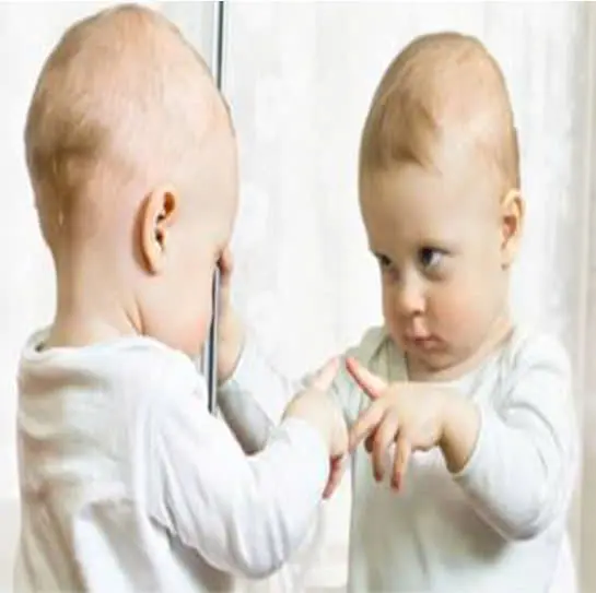 THÔNG MINH NỘI TÂM – KHI HIỂU MÌNH LÀ MỘT DẠNG TRÍ TUỆ ???